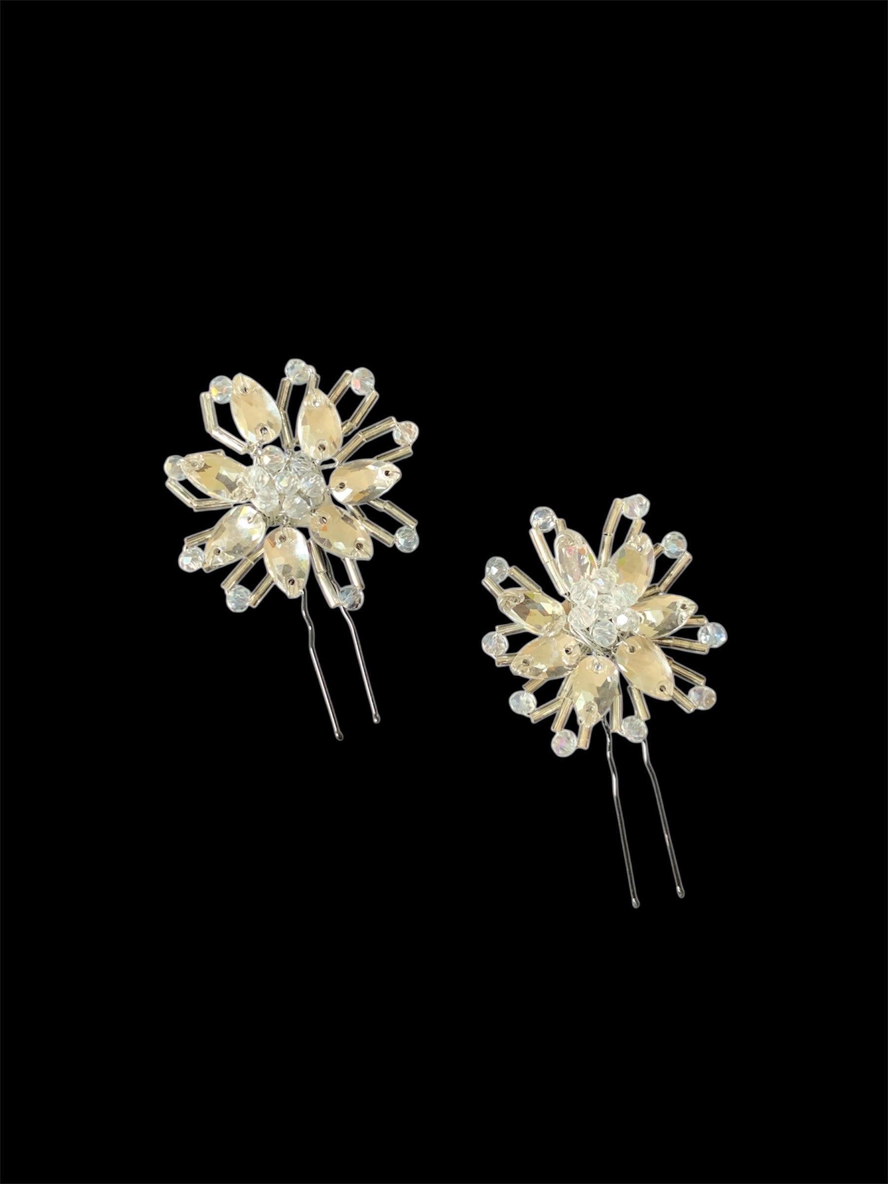 Silver pins pair